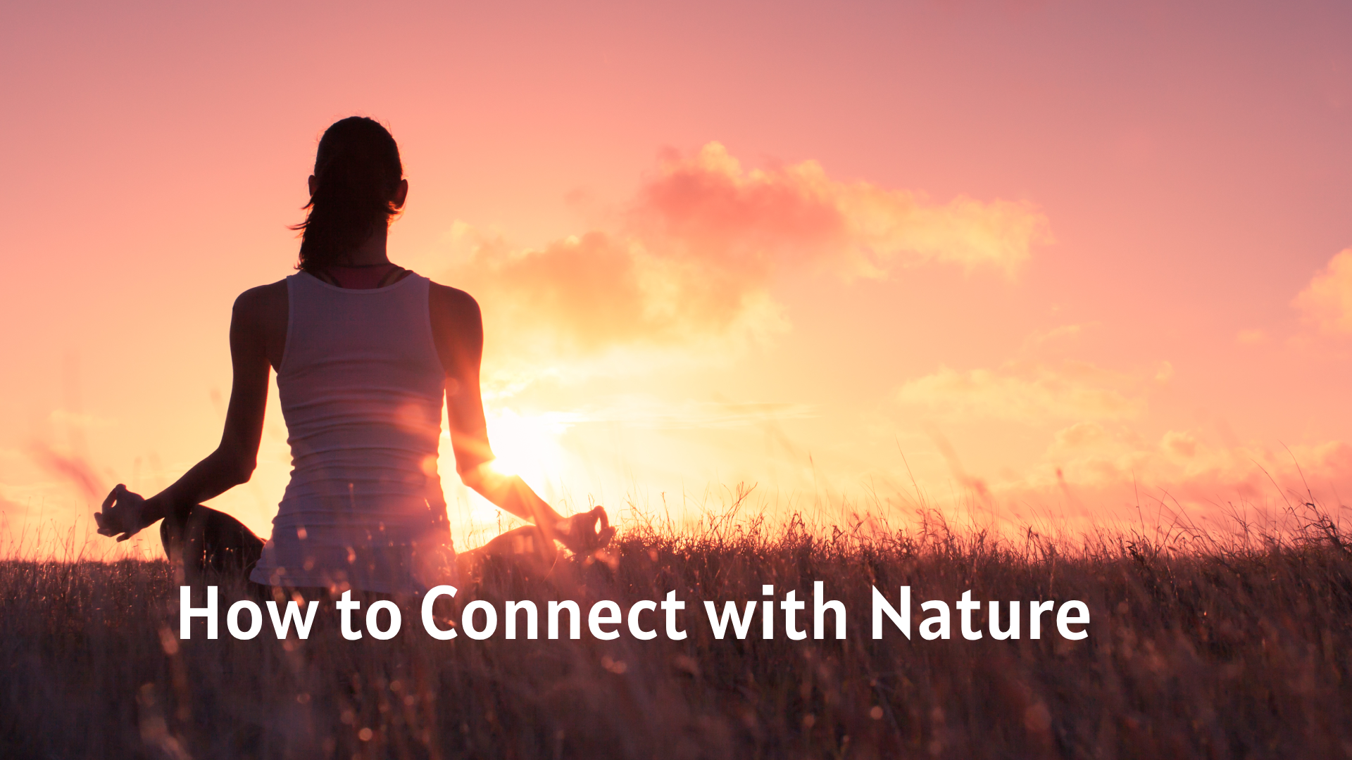 How to Connect with Nature