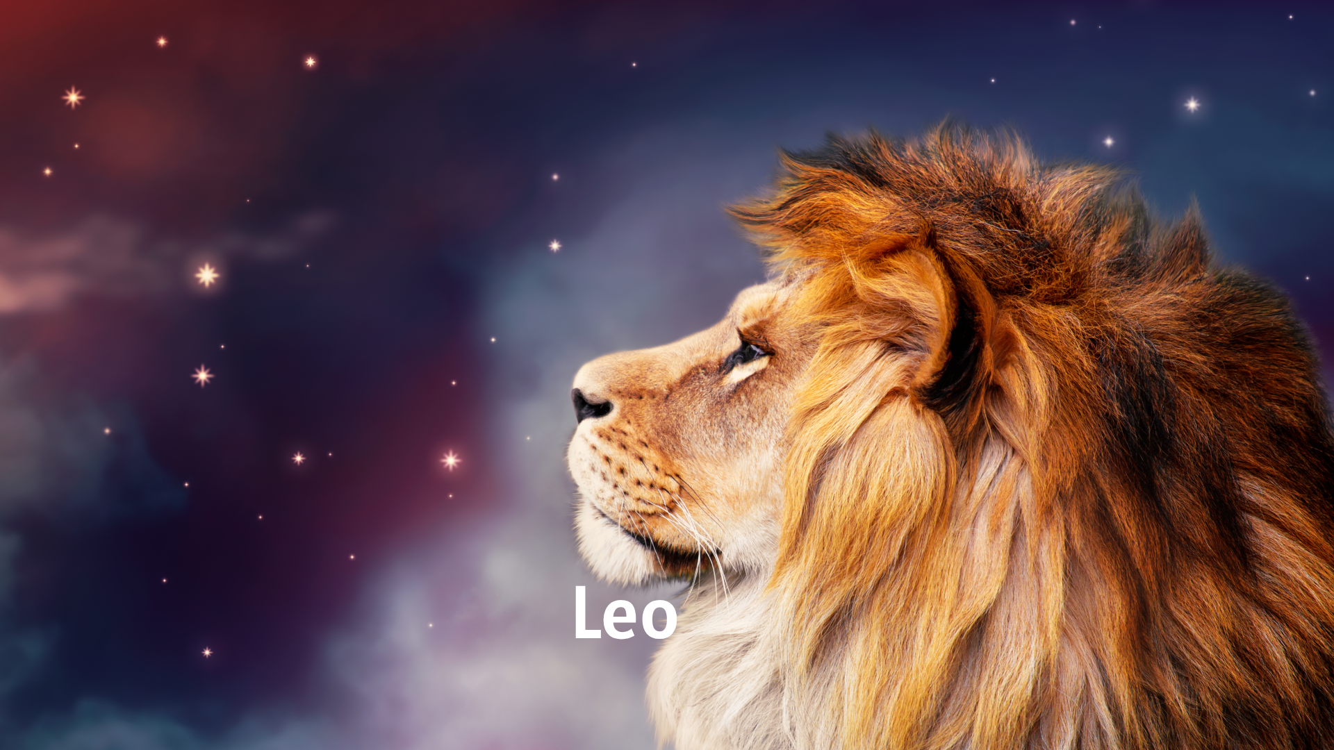 Leo