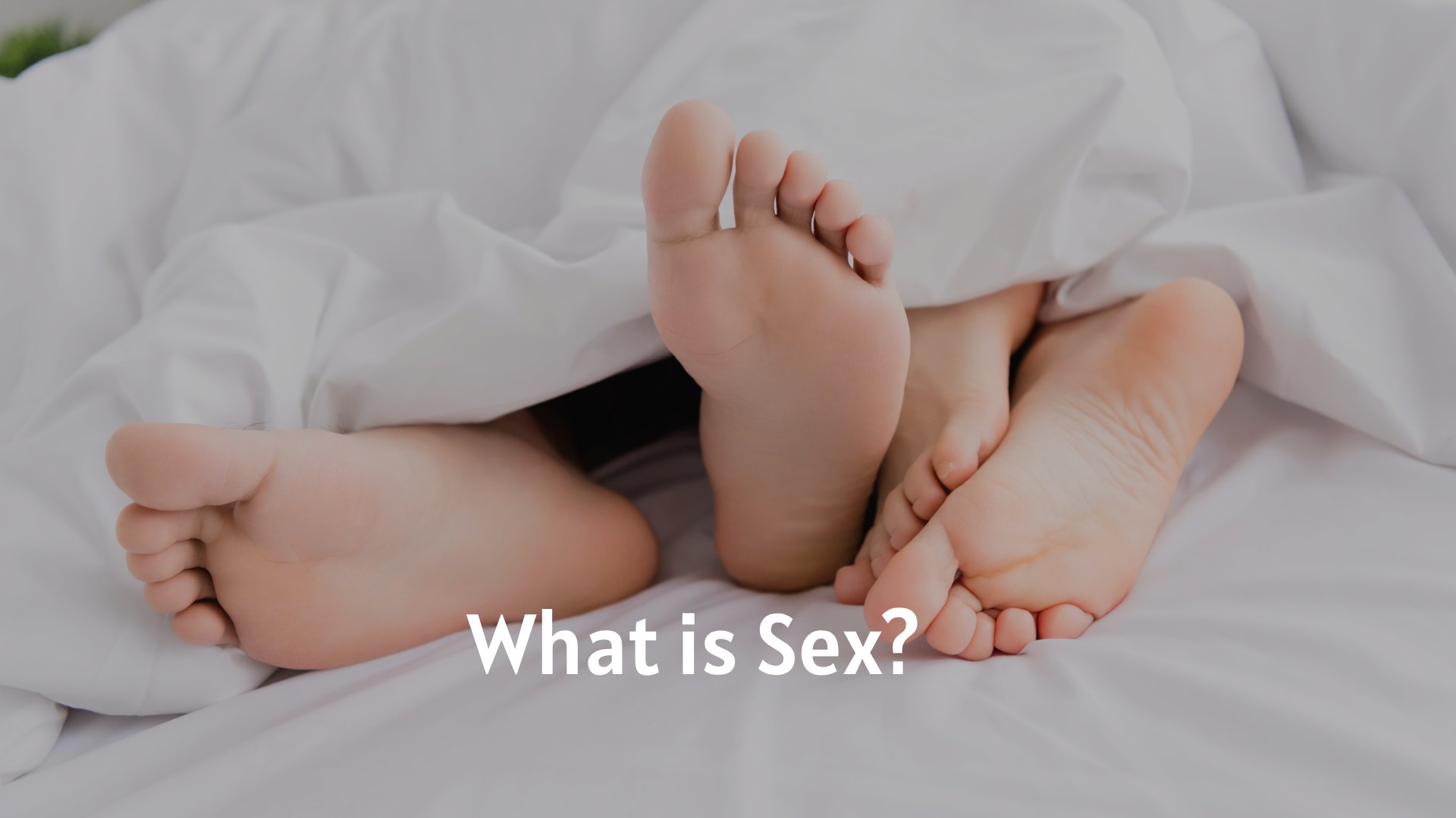 What is Sex?
