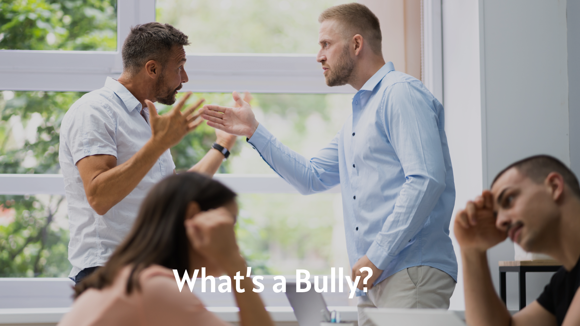 What’s a Bully?