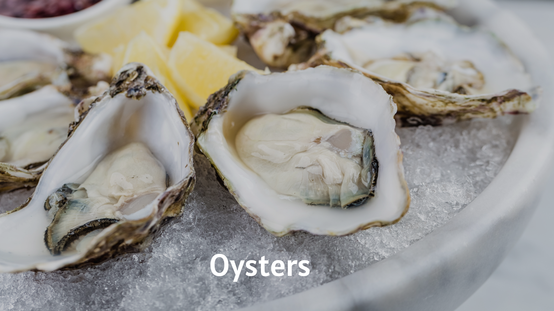 Oysters