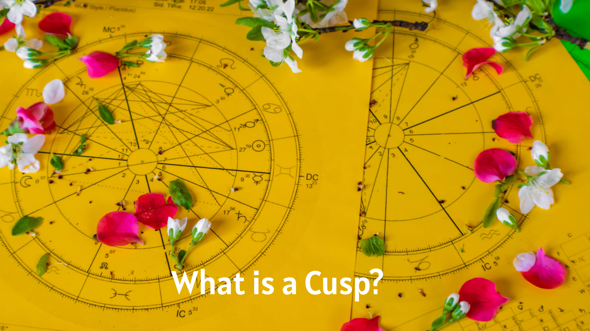 What is a Cusp?