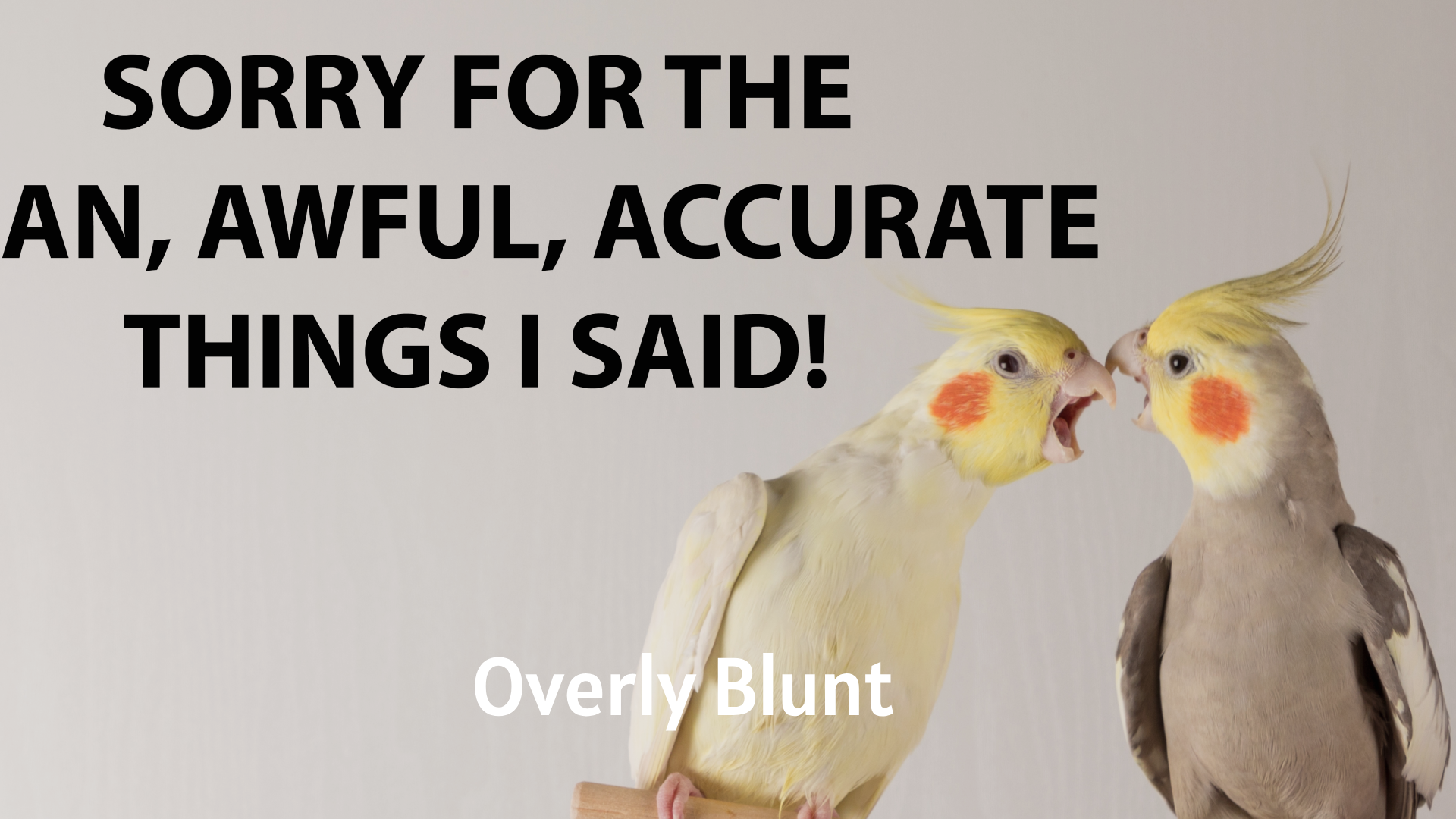 Overly Blunt