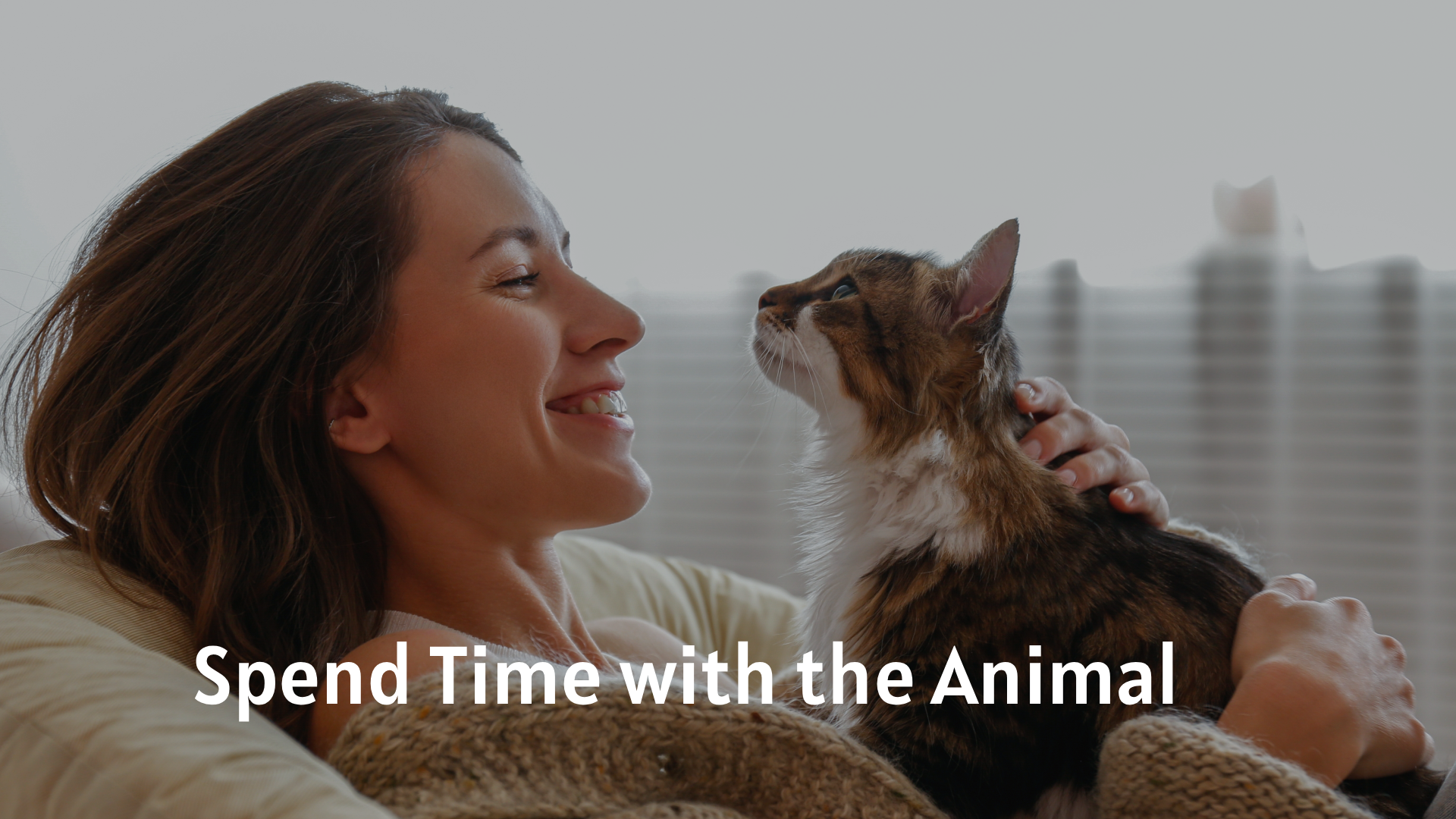 Spend Time with the Animal