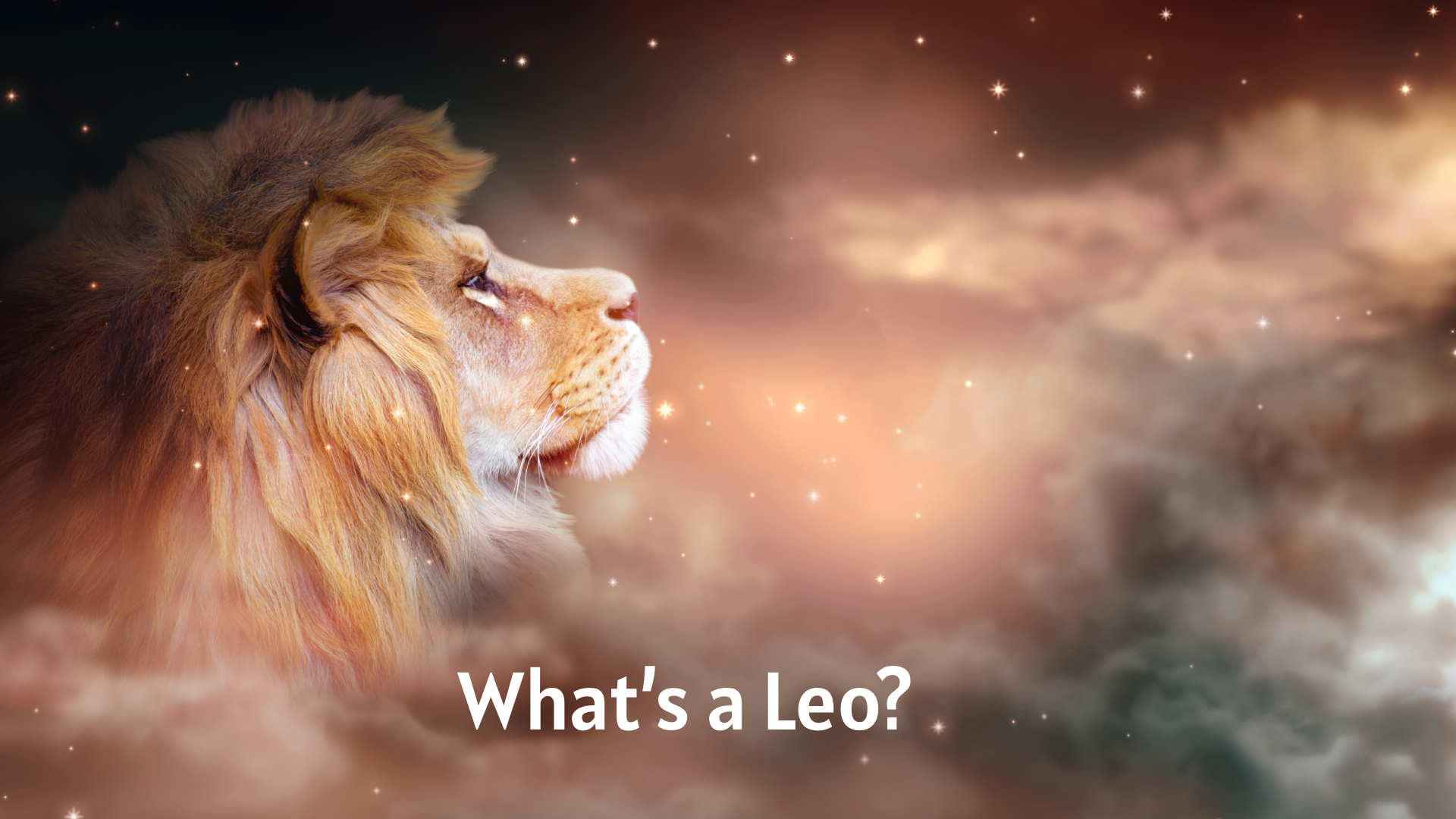 What’s a Leo?