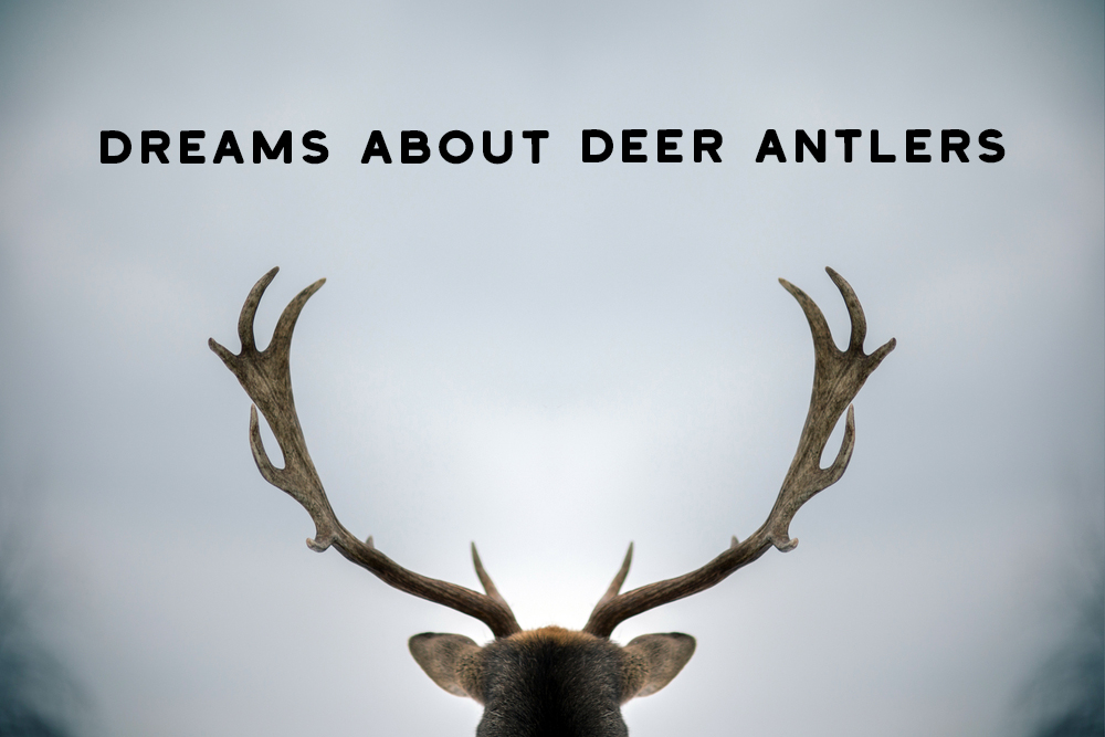 What is Deer Spiritual Meaning? SpiritualBlossom