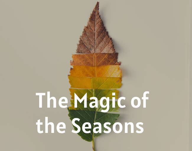 Magic with the Seasons | SpiritualBlossom