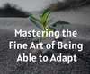 Mastering the Fine Art of Being Able to Adapt