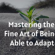 Mastering the Fine Art of Being Able to Adapt