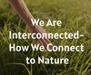 We Are Interconnected- How We Connect to ...