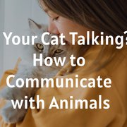Is Your Cat Talking? How to Communicate with Animals