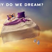 Your Guide to Dream Interpretations Part 1