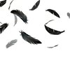 Mystical Wings: Exploring the Symbolic ...