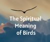 The Spiritual Meaning of Birds