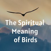 The Spiritual Meaning of Birds