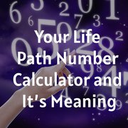 Your Life Path Number Calculator and It’s Meaning