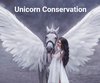 Are Unicorns Real? What is a Unicorn?