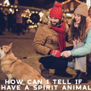 What Animal is My Spirit Animal?