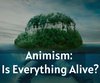 Animism: Is Everything Alive?