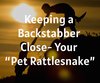 Keeping a Backstabber Close- Your “Pet ...