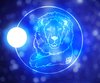 The Dark Side of Leo and How to Deal with It
