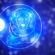 The Dark Side of Leo and How to Deal with It