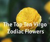 The Top Ten Virgo Zodiac Flowers