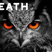 What is the Spiritual Meaning of an Owl?