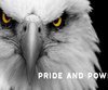What is the Spiritual Meaning of Eagles?