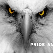 What is the Spiritual Meaning of Eagles?