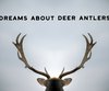 What is The Spiritual Meaning of Deer?