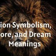 Lion Symbolism, Lore, and Dream Meanings