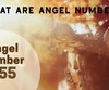 What is the 555 Angel Number Meaning?
