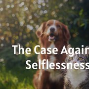 The Case Against Selflessness
