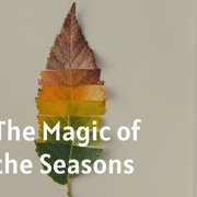The Magic of the Seasons